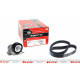 Комплект ременя генератора Citroen C2/C3/C4/Peugeot 207/307 1.1-1.6 02- (6PK1053)