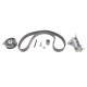 Комплект ГРМ Ford Galaxy/VW Sharan 1.9 TDI 95-10 (30x120z)