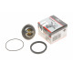 Термостат Peugeot Boxer 2.8HDI/Fiat Ducato 2.5-2.8D 86- (82°C)