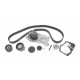Комплект ГРМ + помпа Renault Clio III/Laguna III/Megane III/ Scenic III 1.6 16V 05- (27x132z) (PA724A)