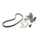 Комплект ГРМ + помпа Ford C-Max/Fiesta/Focus/Mondeo 1.25/1.4/1.6 05-/Volvo 1.6 07-12 (117x22)(PA990)