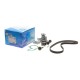 Комплект ГРМ + помпа Ford C-Max/Fiesta/Focus/Mondeo 1.25/1.4/1.6 05-/Volvo 1.6 07-12 (117x22)(PA990)