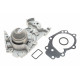 Помпа води Renault Clio 01-/Kangoo 01-/Twingo 1.2 16V 01- (B/B) (6 лоп)
