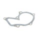 Помпа води Ford Fiesta/Focus 1.0-1.6 96-/Volvo S40/V50 1.6 05-12