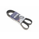 Ремінь генератора Citroen Jumper/Fiat Ducato/Peugeot Boxer 2.0/2.2HDi/JTD 02- (6PK1182)