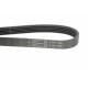 Ремінь генератора VW Passat B5/Audi A4/A6 1.6/1.8 95- (5PK1300)