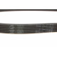 Ремінь генератора VW T5 3.2 V6 03-09