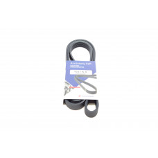 Ремінь генератора VW LT 2.8TDI 96KW/Ford Transit 2.0DI 00-14 (6PK1637)