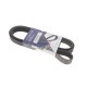 Ремінь генератора Renault Megane II 2.0 dCi 05-09 (7PK1705)