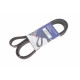 Ремінь генератора Renault Megane III/Scenic III 1.4 16V (JZ0F, JZ1V) 09-