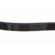Ремінь генератора BMW 3(E92)/5(E60)/X3(E83) 07-