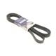 Ремінь генератора MB W202/210 M112/113 97- (WP,PS) (6PK2315)