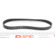 Ремінь генератора Citroen Berlingo/Fiat Ducato 1.9 D/TD 96-03 (6PK730)