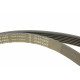 Комплект ременя генератора Opel Astra/Vectra 89-02 (6PK1903)
