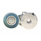 Натяжник ременя генератора Nissan X-Trail/Qashqai/Renault Clio/Fluence/Laguna III 2.0 16 V 07-
