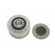 Шків генератора Opel Antara/Chevrolet Captiva/Cruze 2.0D/2.2D 09-