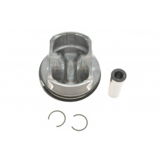 Поршень BMW 5 (E60) 2.0 i 07-10/X3 (E83) 2.0 i 05-11 N46 (STD) (84.25mm/+0.25)