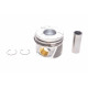 Поршень Audi A3/VW Golf V/Mitsubishi Lancer VIII 2.0TDI 16V 03- (81.01mm/STD)