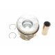 Поршень Audi A3/Skoda Fabia II/VW Caddy III/Golf V 1.9 TDI 03-10 (80.01mm/+0.50) (1-2 циліндр)