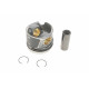 Поршень VW Crafter 2.5TDI 06-13 (81.51mm/+0.50)