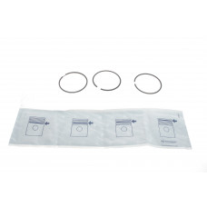 Кільця поршневі Audi 80/100/VW Passat/Golf 1.8-2.8 83-05 (81.01mm/STD) (1.5-1.75-3)