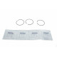 Кільця поршневі Audi 80/100/VW Passat/Golf 1.8-2.8 83-05 (81.01mm/STD) (1.5-1.75-3)
