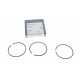 Кільця поршневі Audi 80/100/VW Passat/Golf 1.8-2.8 83-05 (81.01mm/STD) (1.5-1.75-3)