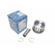 Поршень VW T4 1.9TD 92-03 (79.51mm/STD)