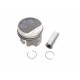 Поршень VW T4 1.9TD 92-03 (79.51mm/STD)