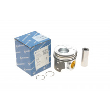 Поршень VW Passat 1.9 TDI 93-00 (79.51mm/STD)