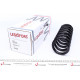 Пружина (передня) MB E-class (W210/S210) E270/320CDI/E280/320/430 96-03 (седан/унив)(ос:Avantgarde)