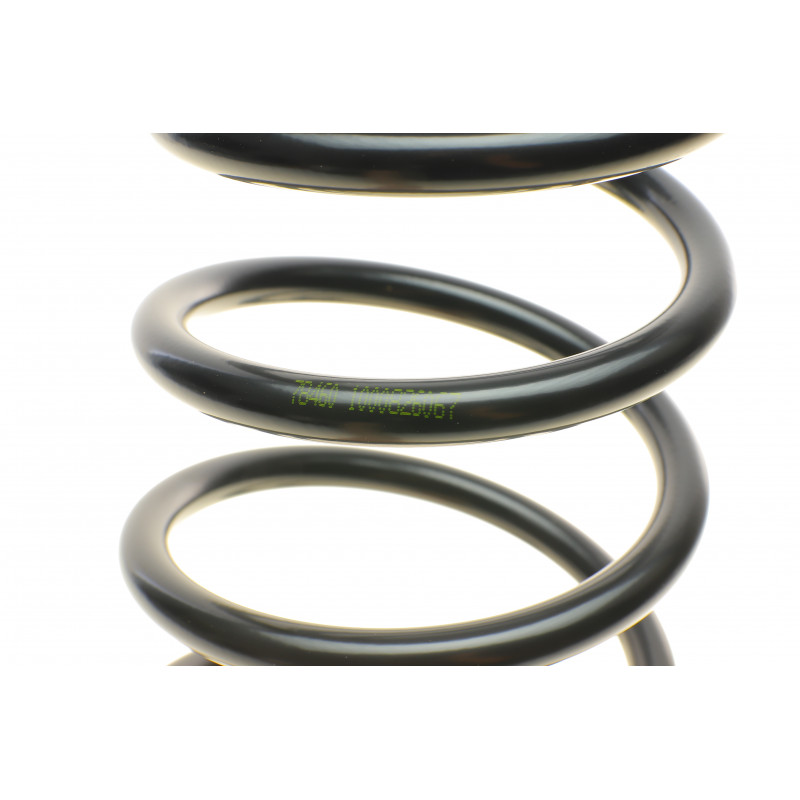 Пружина (задня) Kia Carens 1.8i 00-02/1.8/2.0CRDi/CVVT 02- (вен)