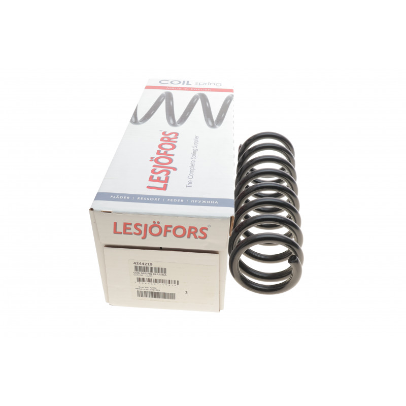 Пружина (задня) Kia Carens III 1.6-2.0CRDi/2.0CVVT 06- (вен)