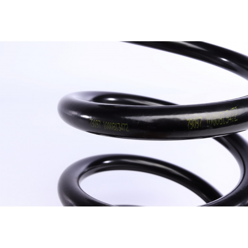 Пружина (задня) Kia Carnival/Grand Carnival III 2.9CRDi 06- (вен)