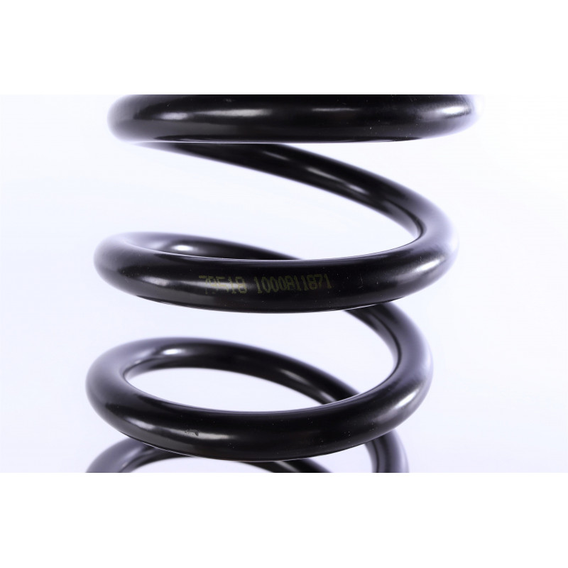 Пружина (задня) Kia Ceed/Pro Ceed 1.4-1.6/CVVT/1.6CRDi/2.0 09-12 (нах.зад.частина)