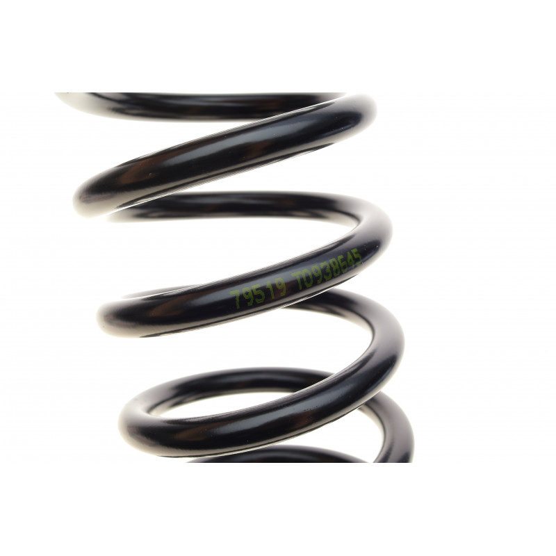 Пружина (задня) Kia Ceed SW 1.4-1.6/CVVT/1.6-2.0CRDi/2.0 09-12 (універсал/накл.зад.ч.)