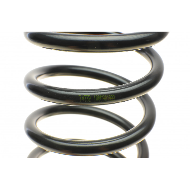 Пружина (задня) Lada 2110/2112 1.5 95-10/Priora 08-18 (седан/накл.зад.частина)