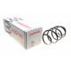 Пружина (передня) Renault Grand Scenic/Scenic 1.4/1.6 16V 09- (вен)/Megane CC 1.4TCe 10- (кабр)