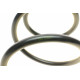 Пружина (передня) Toyota Corolla Verso 2.0-2.2D-4D 04-09 (вен)
