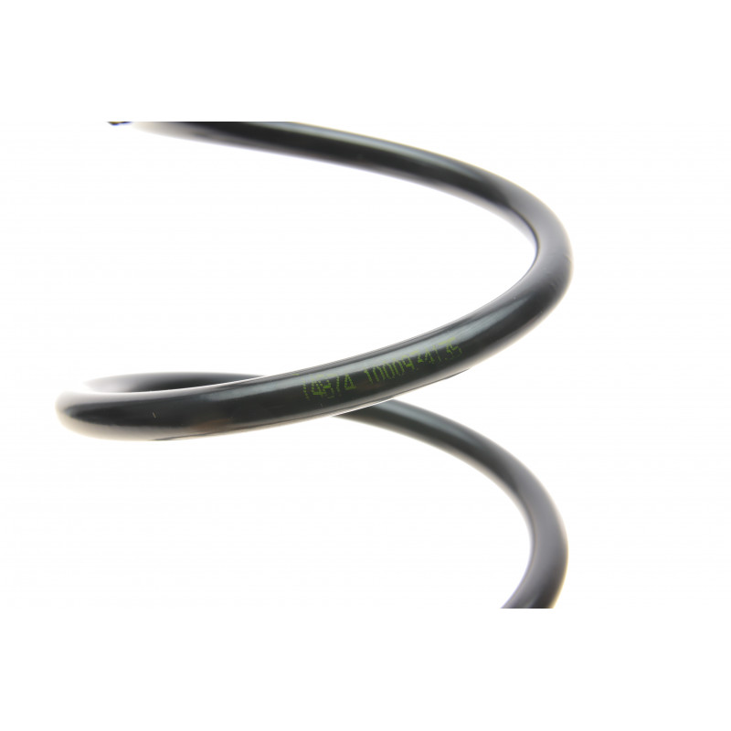 Пружина (задня) Citroen C3 1.1i/1.4-1.6 16V/1.4-1.6HDi 02- (хэтчбэк) (без здвиг.панелі даху)