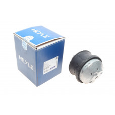 Подушка двигуна MB C-class (W202/W203)/E-class (W210) 2.0-2.9D 96-11