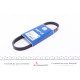 Ремінь генератора Ford Fiesta/Fusion 1.25/1.4/1.6 01-12 (5PK690)