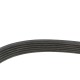 Ремінь генератора Citroen Berlingo/Jumper/Jumpy/Fiat Ducato/Scudo/Peugeot Boxer/Expert (6PK725)