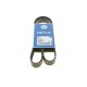 Ремінь генератора Mazda 3/5/6 2.0 DI/CD 02-10 (8PK1226)