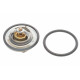 Термостат Opel Ascona C/Astra F/G/Combo/Corsa A/B/Kadett E/Vectra B (87°C) 1.0-1.6 81-