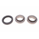 Підшипник маточини (задньої) Ford Escort 90-99/Mazda 121 96-03 (29x50.3x17.5) (к-кт)