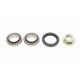 Підшипник маточини (задньої) Ford Escort 90-99/Mazda 121 96-03 (29x50.3x17.5) (к-кт)