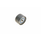 Ролик ГРМ Renault Kangoo 1.6i/Megane 1.4i/1.6i 16V 01- (паразитний) (54х32)