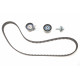 Комплект ГРМ Citroen C3/Peugeot 207/208 1.4 HDi 09- (25.4x139z)
