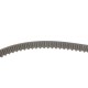 Комплект ГРМ Mazda 2/Ford Fiesta/Focus/Volvo S40/V50 1.25i-1.6 16V 95- (22x117z)
